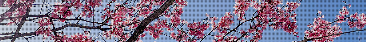花回廊 ヘッダー