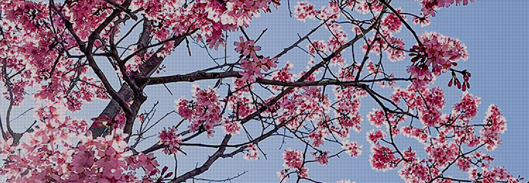 花回廊 ヘッダー